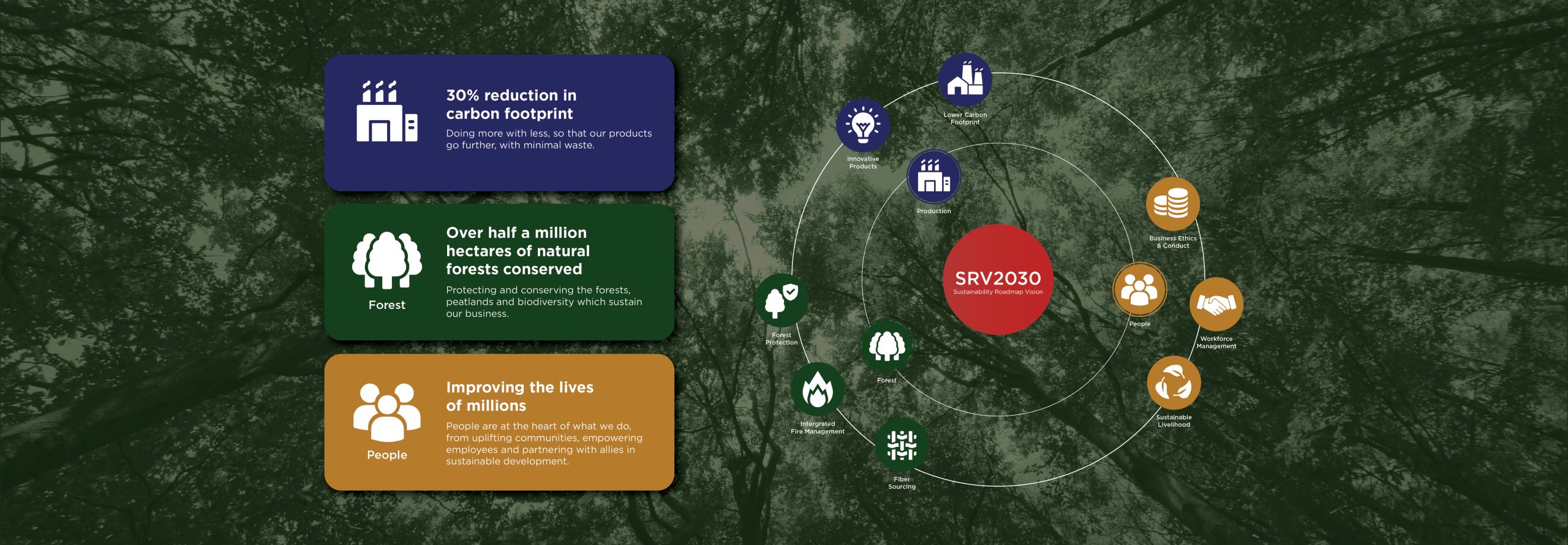 Sustainibility roadmap-01