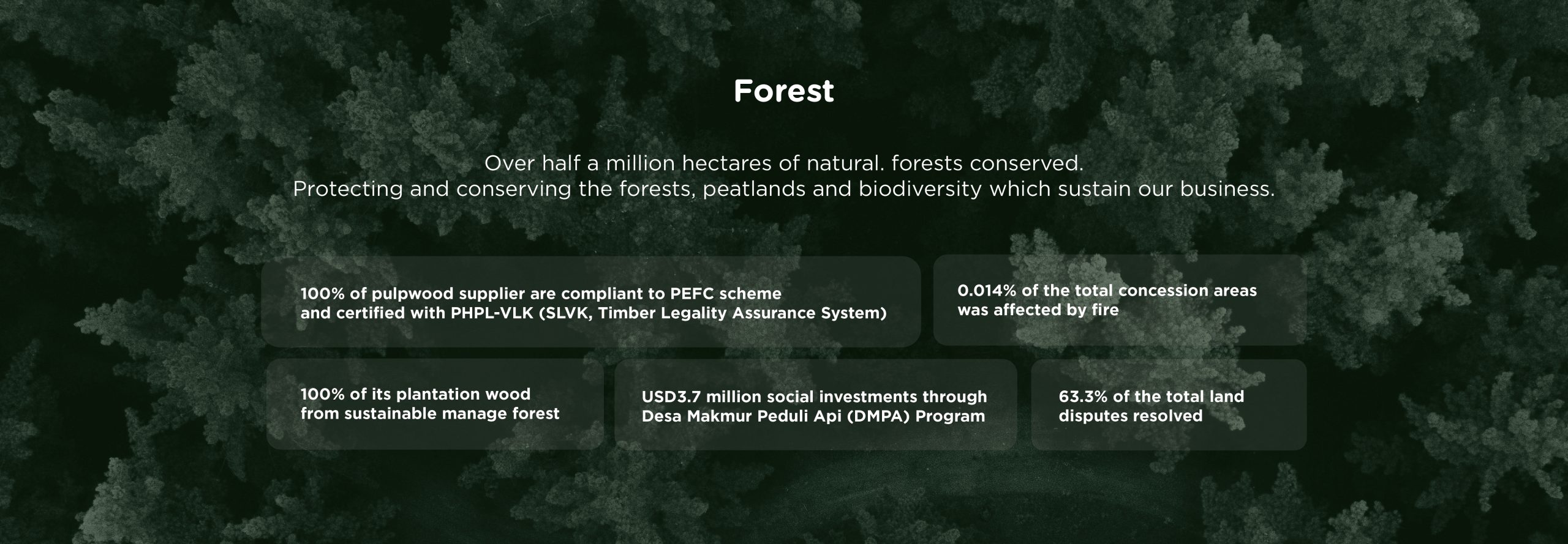 Sustainibility roadmap-03